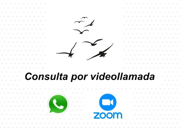 consulta video llamada